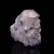 Calcite and Fluorite La Viesca M04585